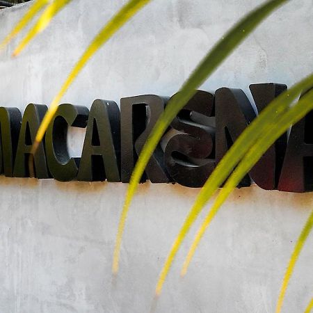 Вилла Macarena Paredon Эль-Паредон-Буэна-Виста Экстерьер фото